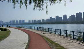 疫情散去，你最想去沈陽的哪個公園打卡？