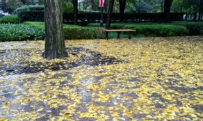 雨后的城市風景，你細細品味過嗎？